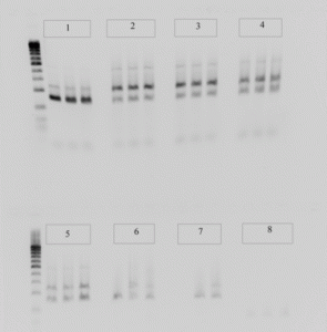 efp774_f1